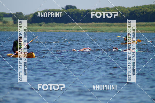 Buy your photos of the eventWolf Series - Botucatu on Fotop