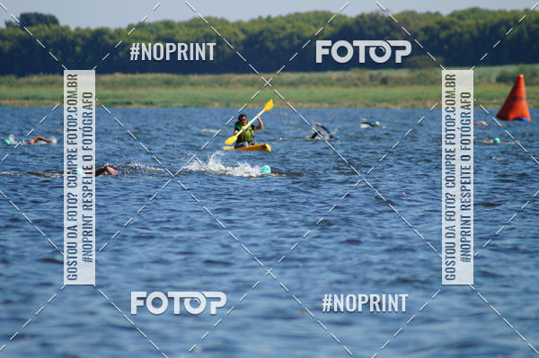 Buy your photos of the eventWolf Series - Botucatu on Fotop