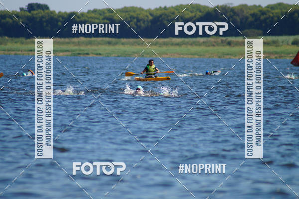 Buy your photos of the eventWolf Series - Botucatu on Fotop