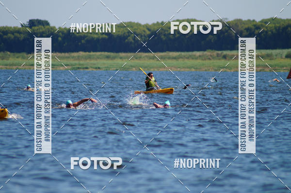 Buy your photos of the eventWolf Series - Botucatu on Fotop