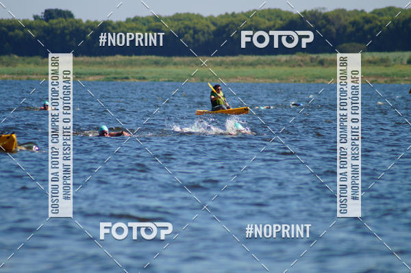 Buy your photos of the eventWolf Series - Botucatu on Fotop