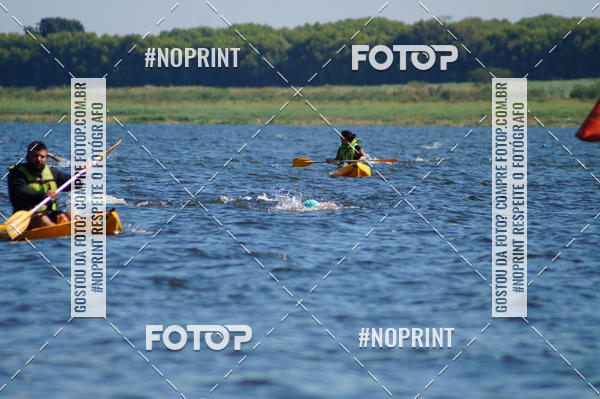 Buy your photos of the eventWolf Series - Botucatu on Fotop