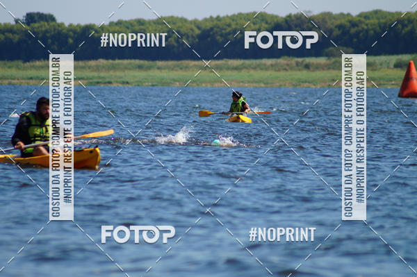 Buy your photos of the eventWolf Series - Botucatu on Fotop