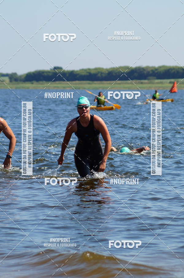 Buy your photos of the eventWolf Series - Botucatu on Fotop