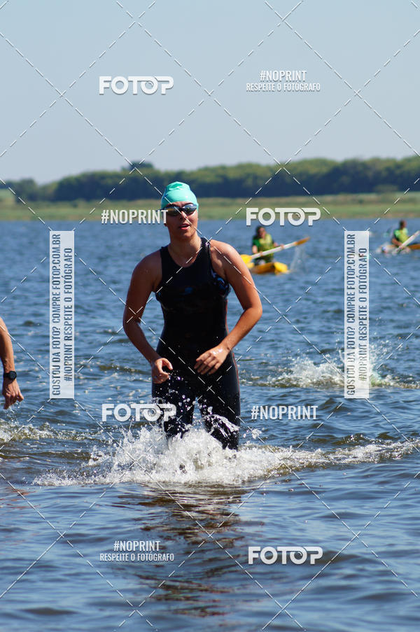 Buy your photos of the eventWolf Series - Botucatu on Fotop