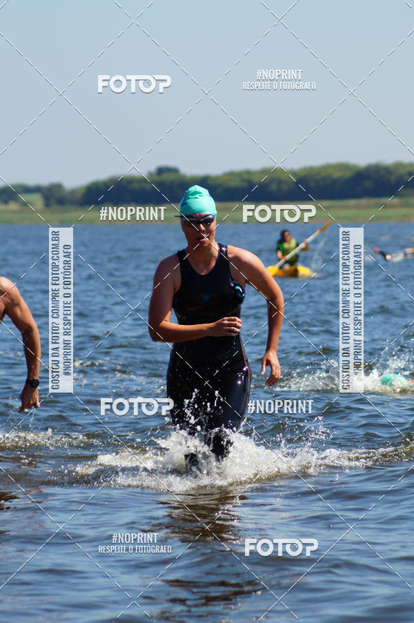 Buy your photos of the eventWolf Series - Botucatu on Fotop