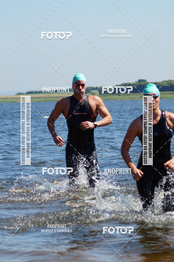 Buy your photos of the eventWolf Series - Botucatu on Fotop