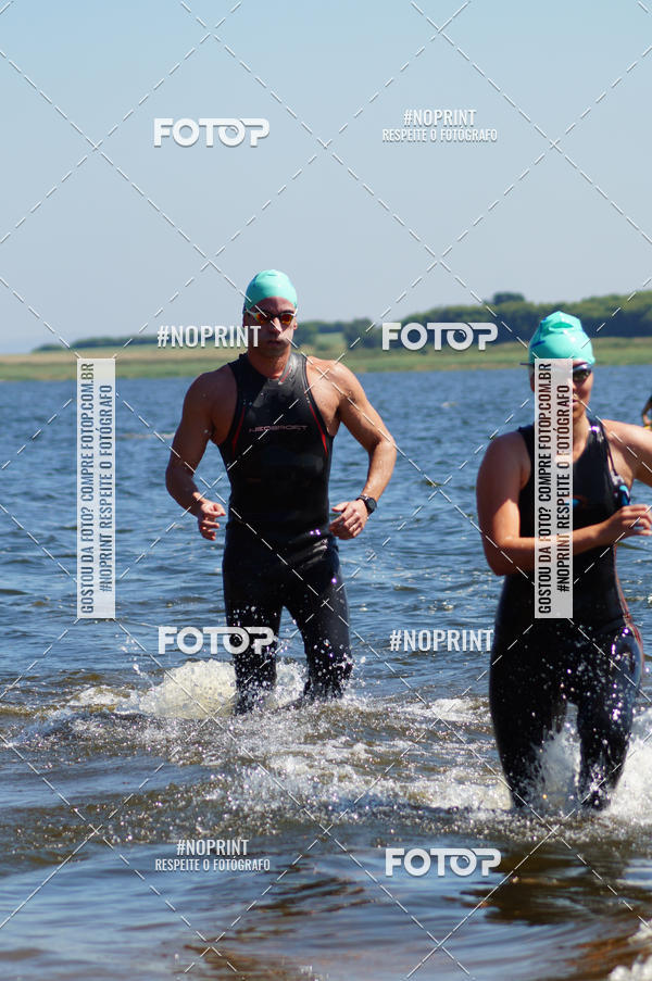 Buy your photos of the eventWolf Series - Botucatu on Fotop