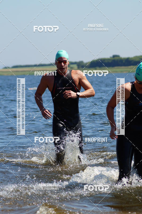 Buy your photos of the eventWolf Series - Botucatu on Fotop