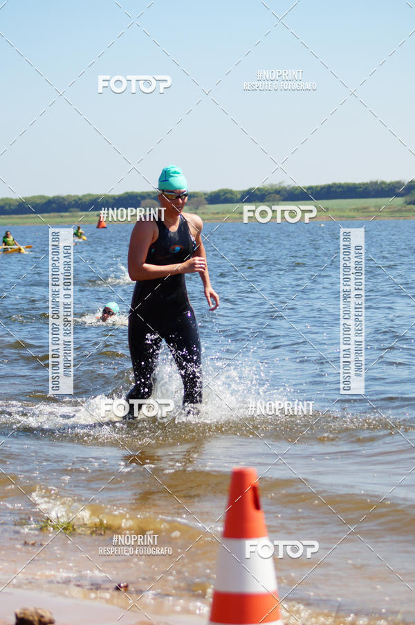 Buy your photos of the eventWolf Series - Botucatu on Fotop