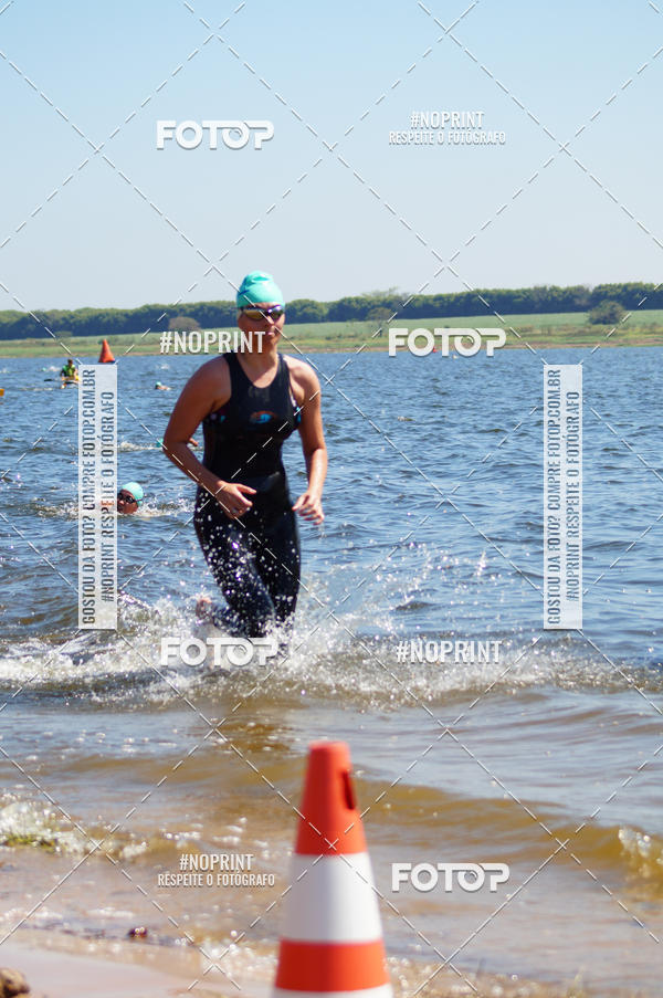 Buy your photos of the eventWolf Series - Botucatu on Fotop