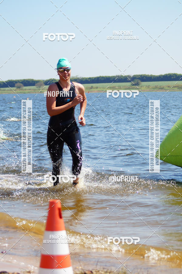 Buy your photos of the eventWolf Series - Botucatu on Fotop