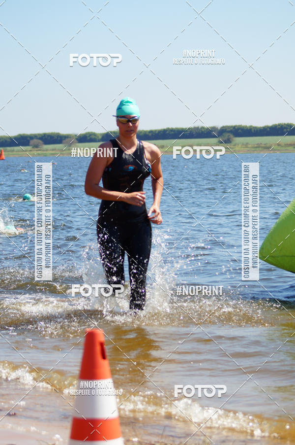 Buy your photos of the eventWolf Series - Botucatu on Fotop