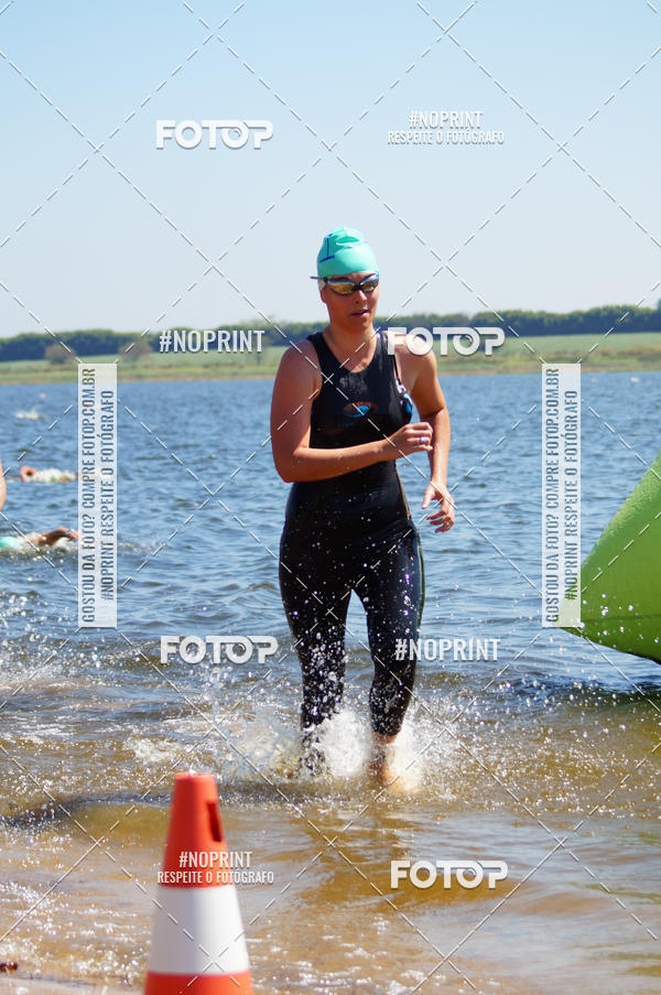 Buy your photos of the eventWolf Series - Botucatu on Fotop