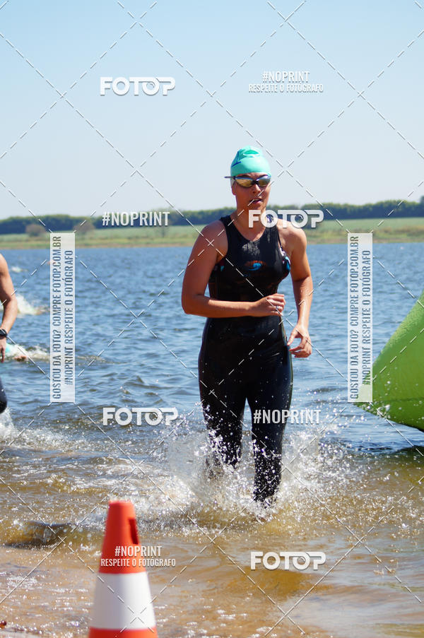 Buy your photos of the eventWolf Series - Botucatu on Fotop