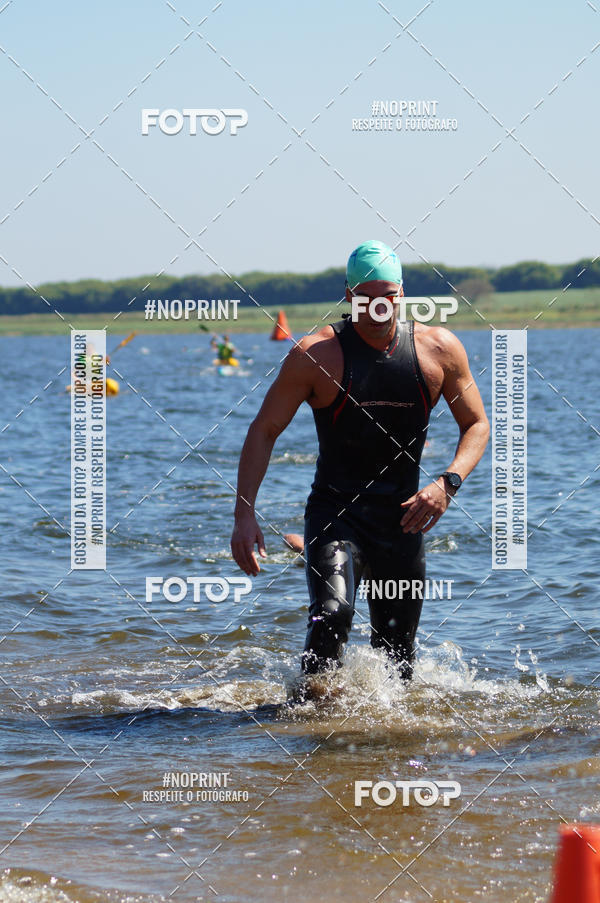 Buy your photos of the eventWolf Series - Botucatu on Fotop