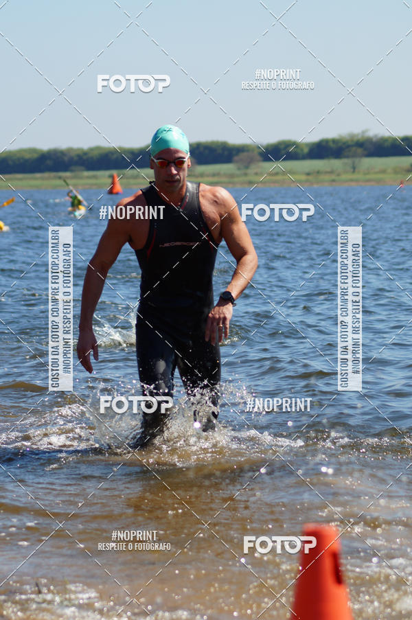 Buy your photos of the eventWolf Series - Botucatu on Fotop