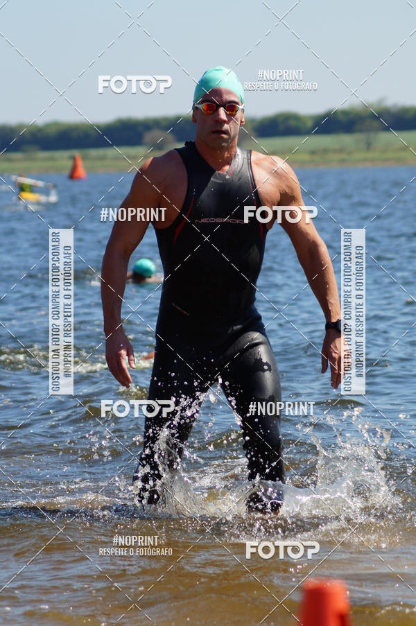 Buy your photos of the eventWolf Series - Botucatu on Fotop