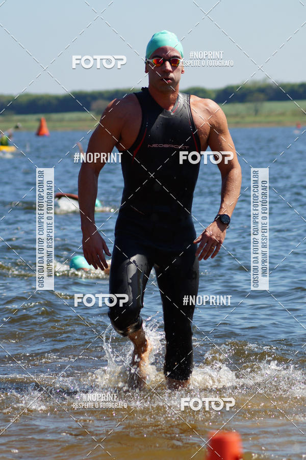 Buy your photos of the eventWolf Series - Botucatu on Fotop