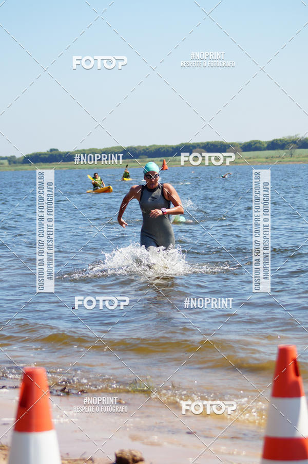 Buy your photos of the eventWolf Series - Botucatu on Fotop