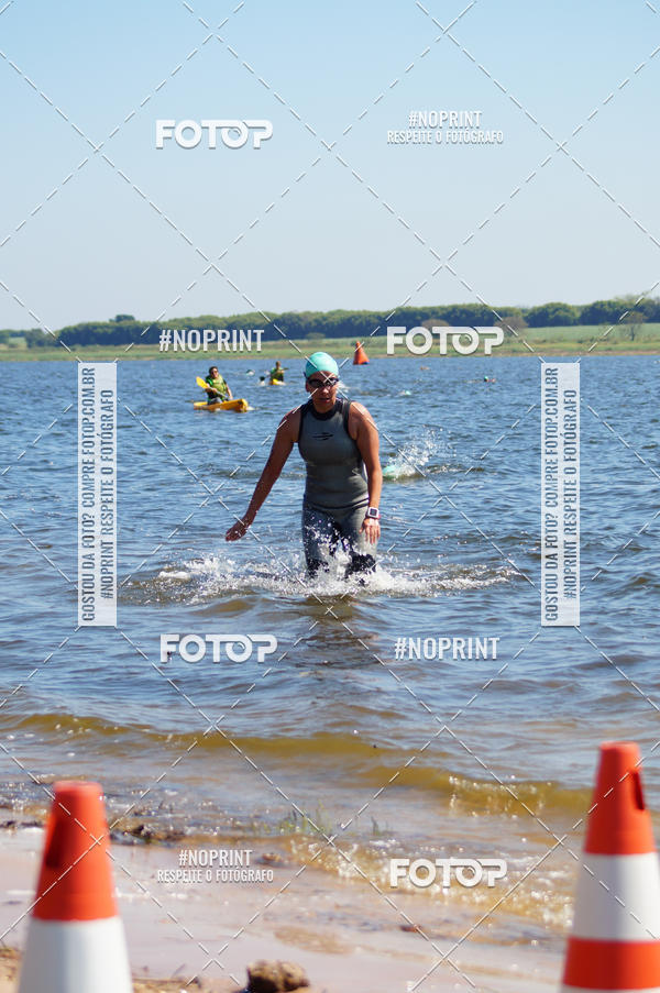 Buy your photos of the eventWolf Series - Botucatu on Fotop