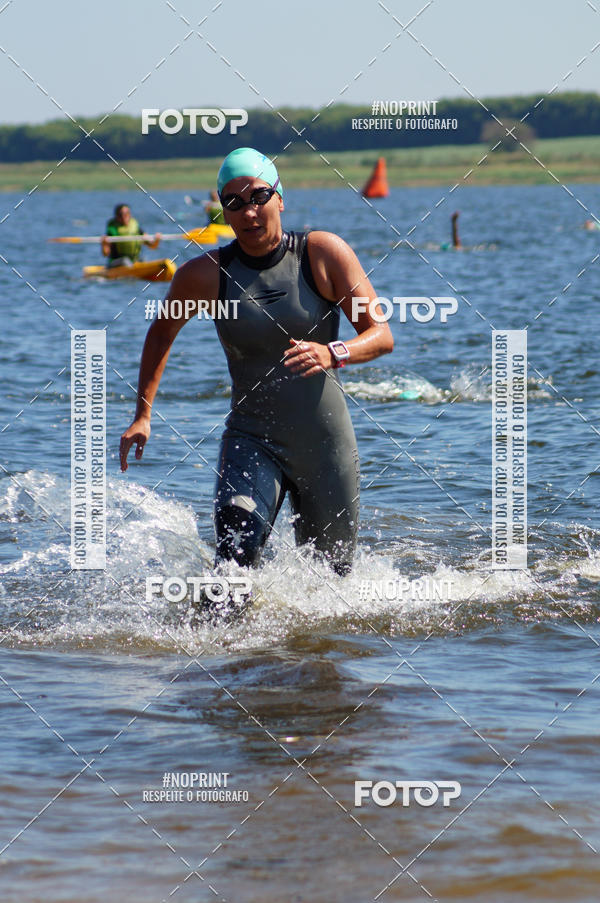 Buy your photos of the eventWolf Series - Botucatu on Fotop