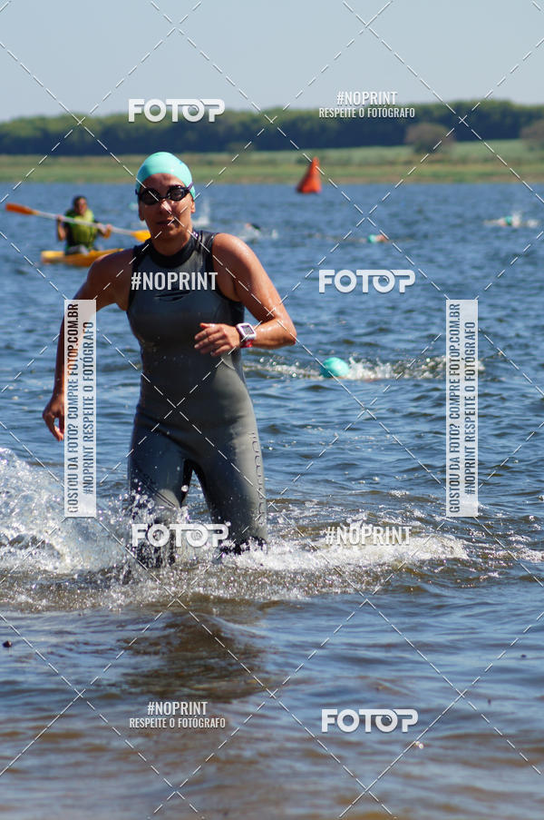 Buy your photos of the eventWolf Series - Botucatu on Fotop