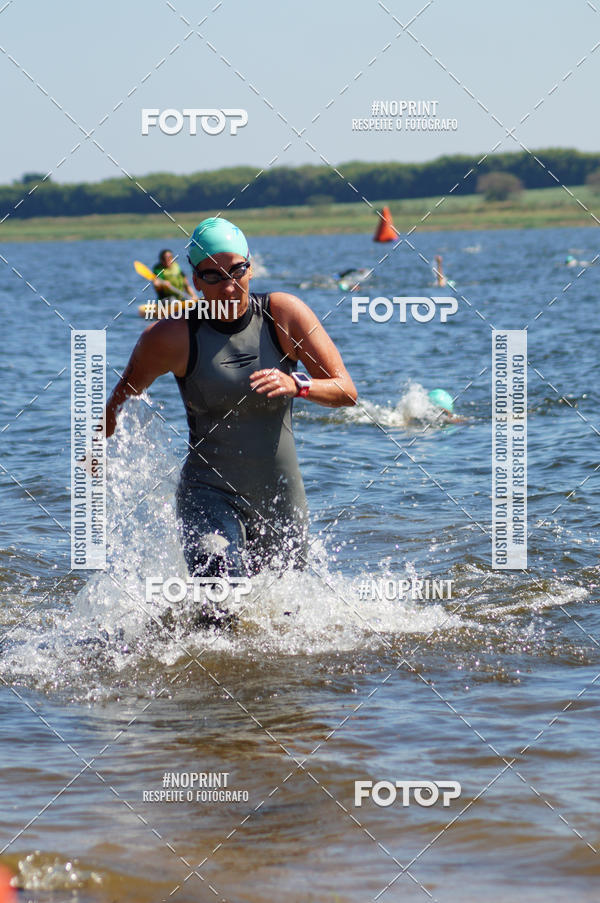 Buy your photos of the eventWolf Series - Botucatu on Fotop