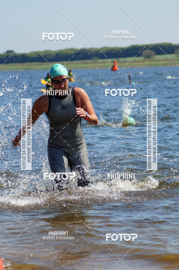 Buy your photos of the eventWolf Series - Botucatu on Fotop