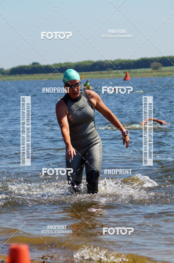 Buy your photos of the eventWolf Series - Botucatu on Fotop