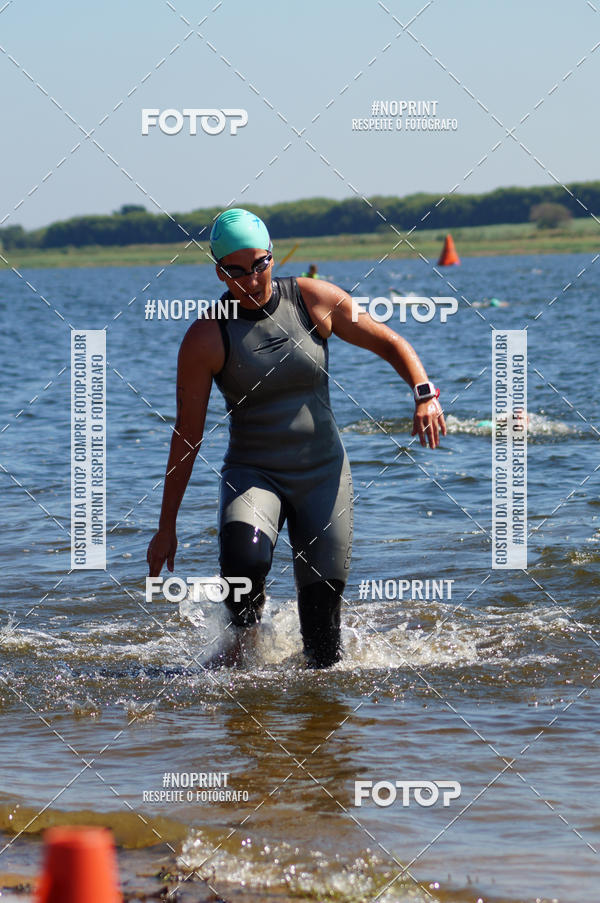 Buy your photos of the eventWolf Series - Botucatu on Fotop