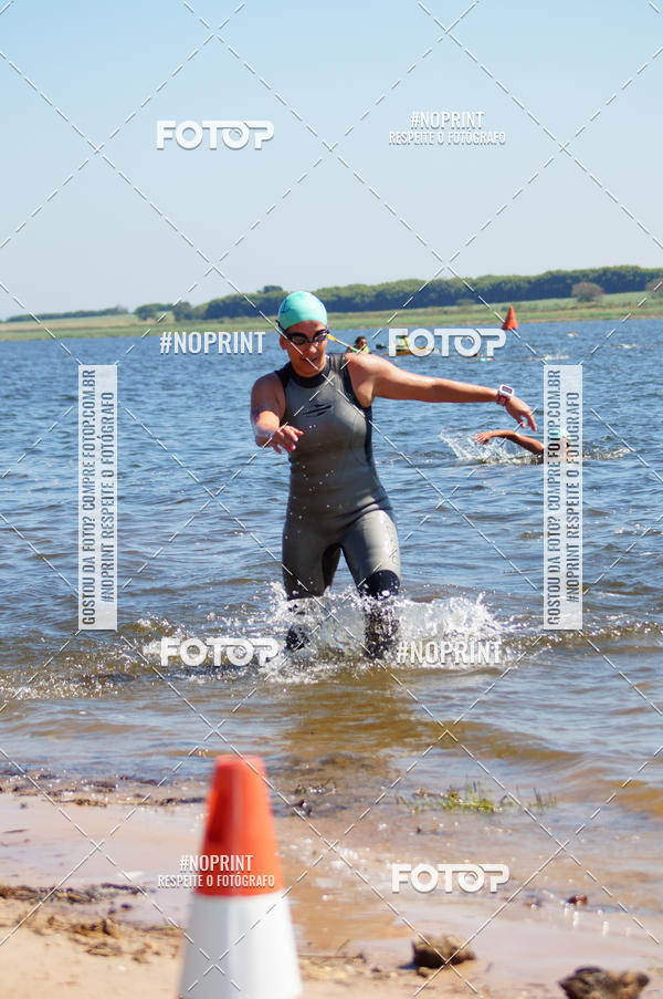 Buy your photos of the eventWolf Series - Botucatu on Fotop