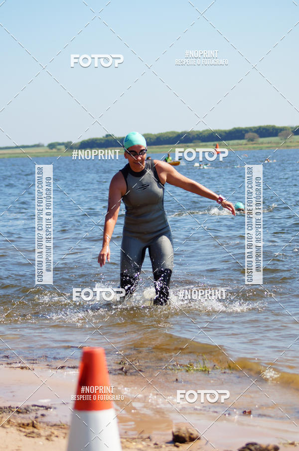 Buy your photos of the eventWolf Series - Botucatu on Fotop