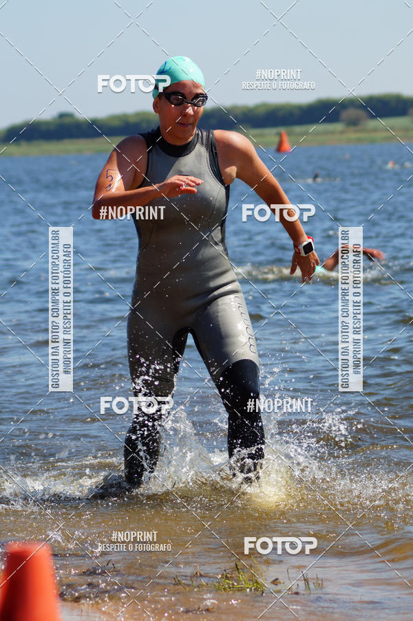 Buy your photos of the eventWolf Series - Botucatu on Fotop