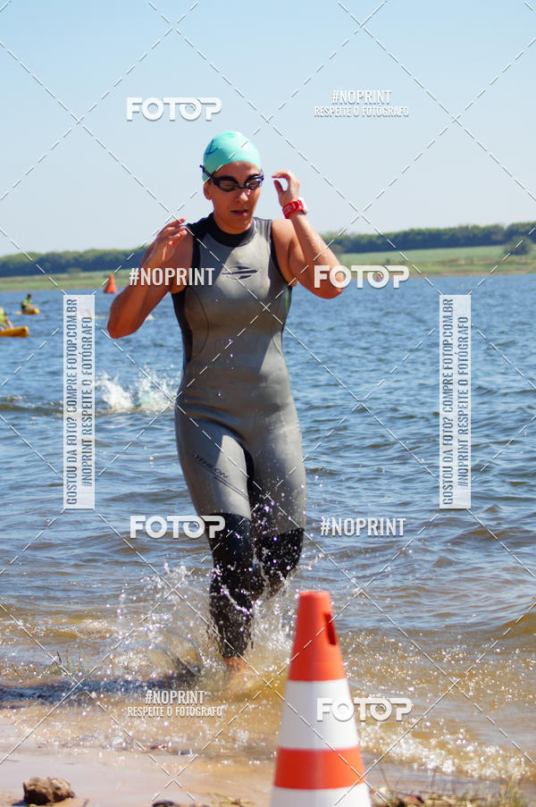 Buy your photos of the eventWolf Series - Botucatu on Fotop