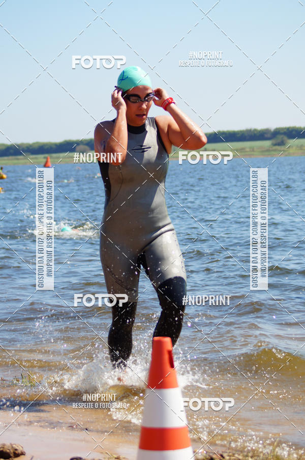 Buy your photos of the eventWolf Series - Botucatu on Fotop