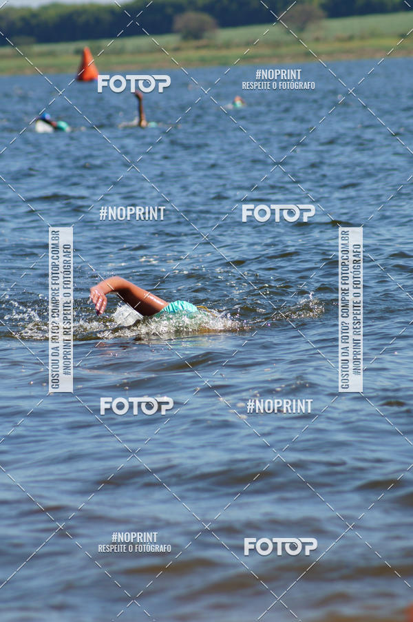 Buy your photos of the eventWolf Series - Botucatu on Fotop