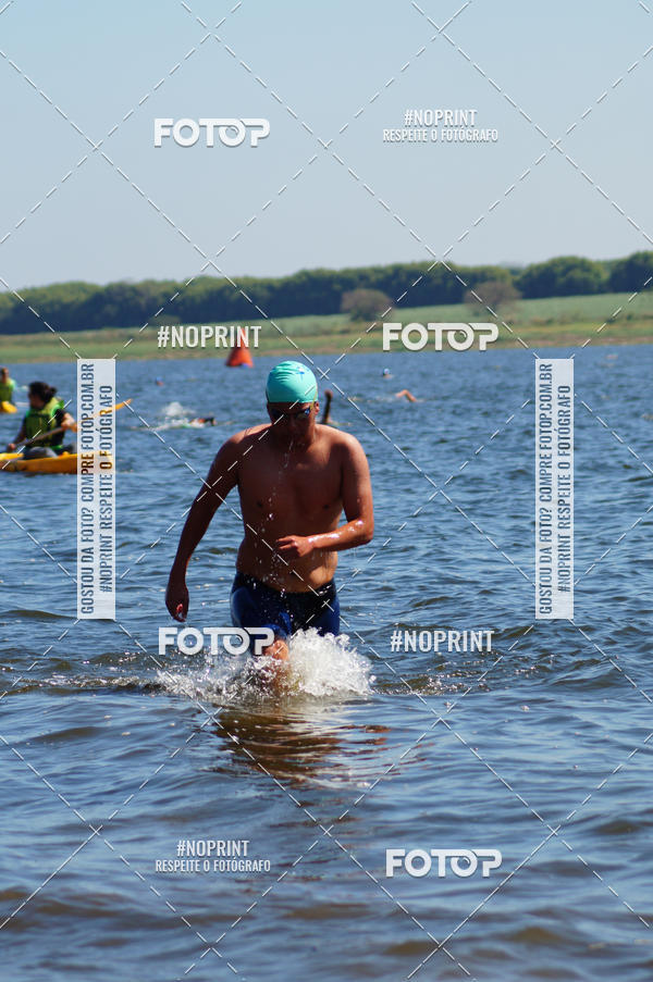 Buy your photos of the eventWolf Series - Botucatu on Fotop