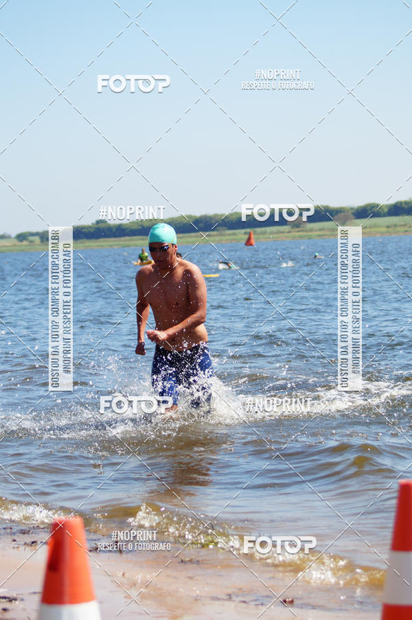 Buy your photos of the eventWolf Series - Botucatu on Fotop