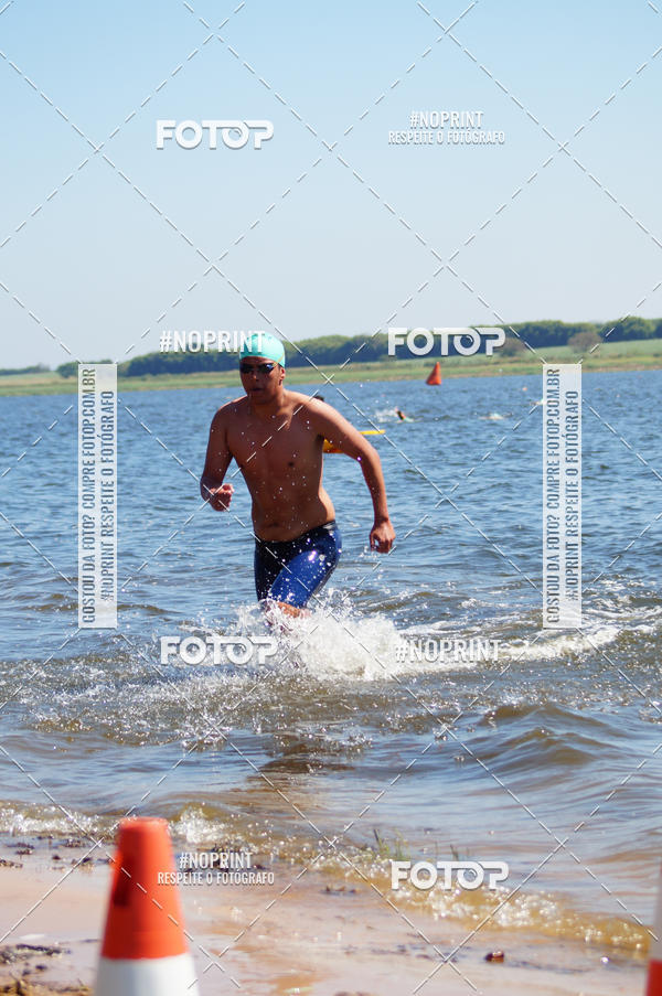 Buy your photos of the eventWolf Series - Botucatu on Fotop