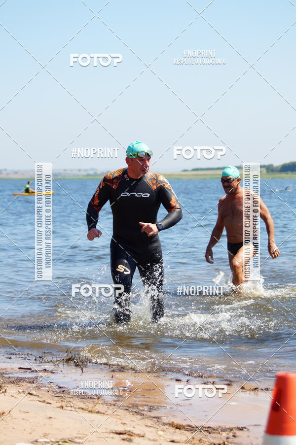 Buy your photos of the eventWolf Series - Botucatu on Fotop