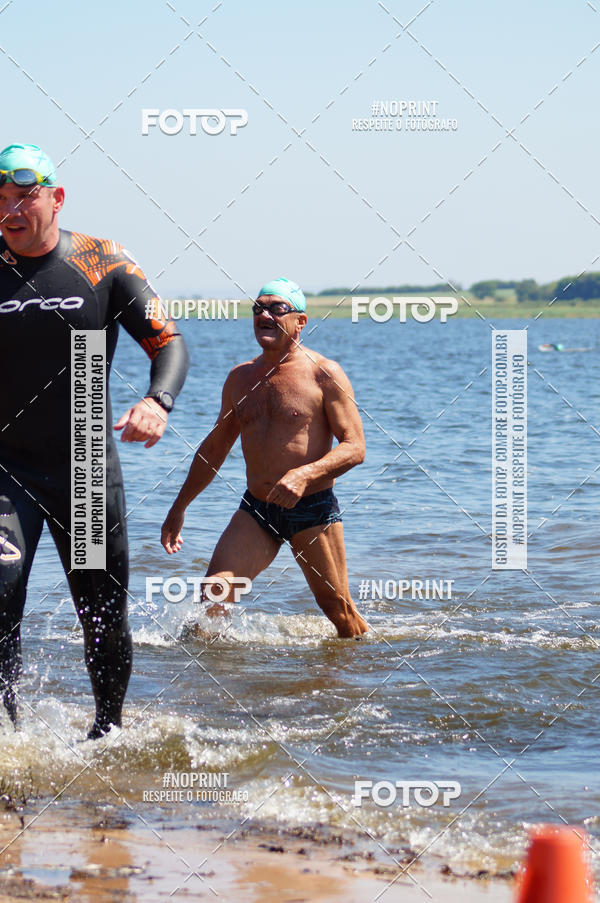 Buy your photos of the eventWolf Series - Botucatu on Fotop