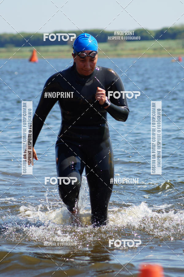 Buy your photos of the eventWolf Series - Botucatu on Fotop