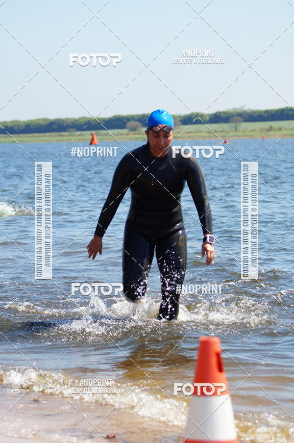 Buy your photos of the eventWolf Series - Botucatu on Fotop