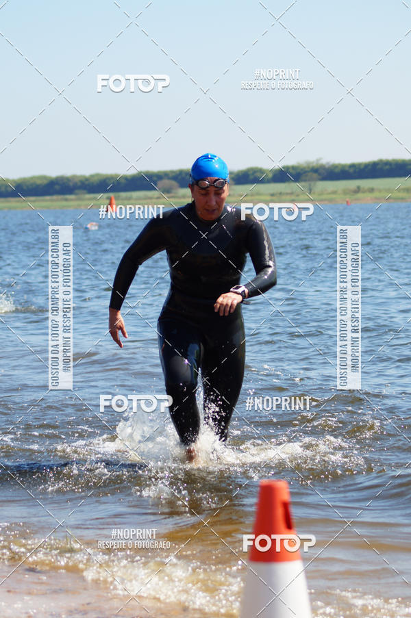 Buy your photos of the eventWolf Series - Botucatu on Fotop