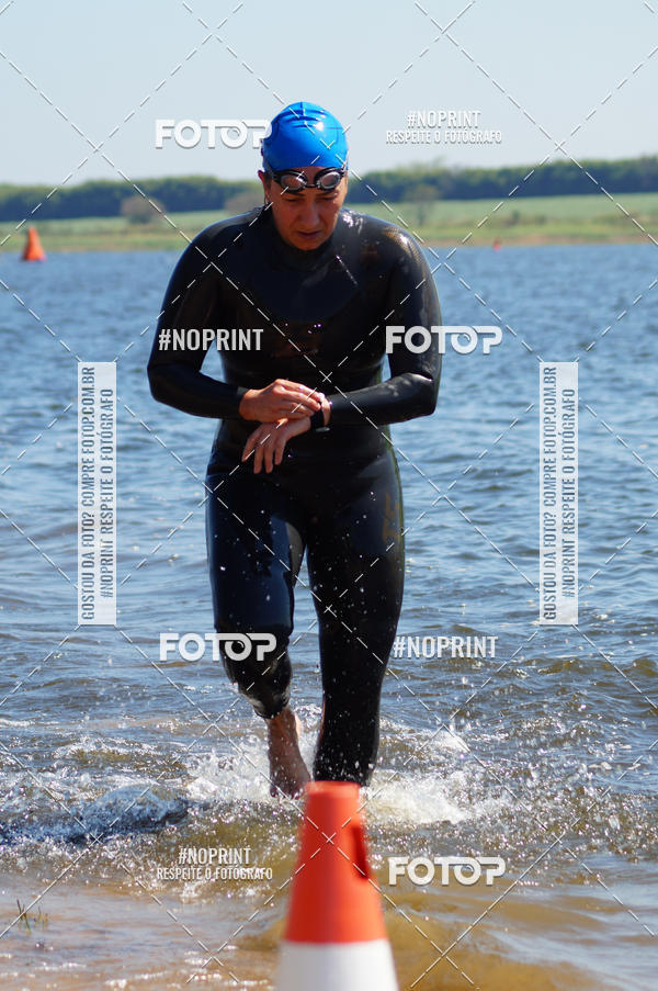 Buy your photos of the eventWolf Series - Botucatu on Fotop