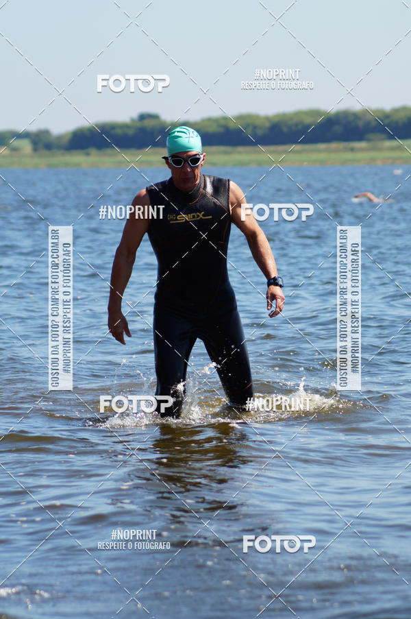 Buy your photos of the eventWolf Series - Botucatu on Fotop