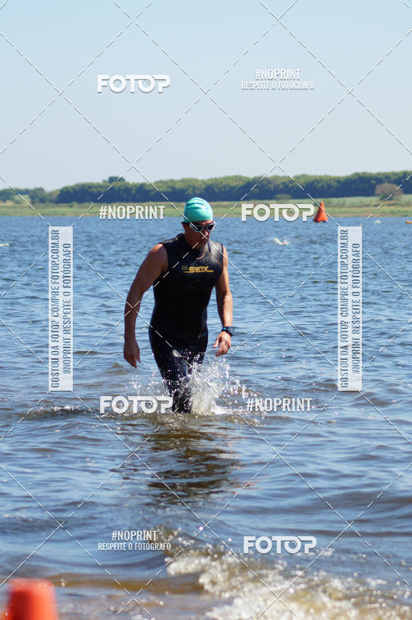 Buy your photos of the eventWolf Series - Botucatu on Fotop