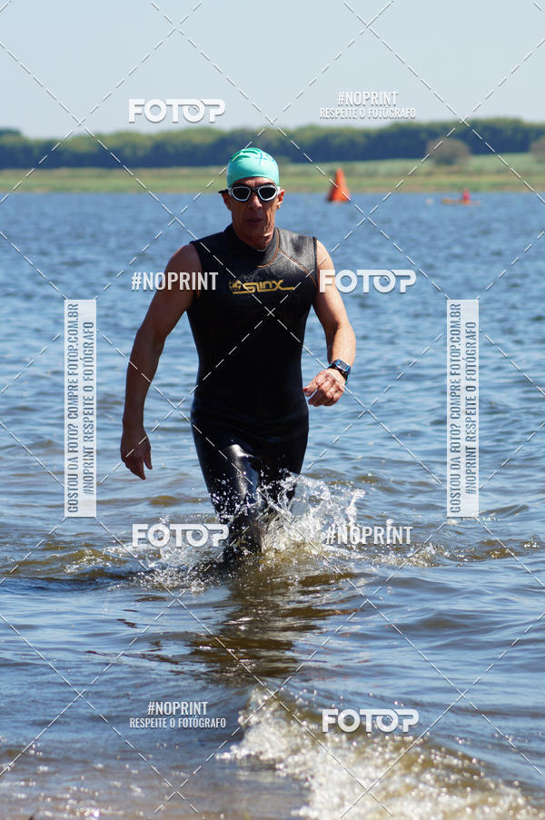 Buy your photos of the eventWolf Series - Botucatu on Fotop