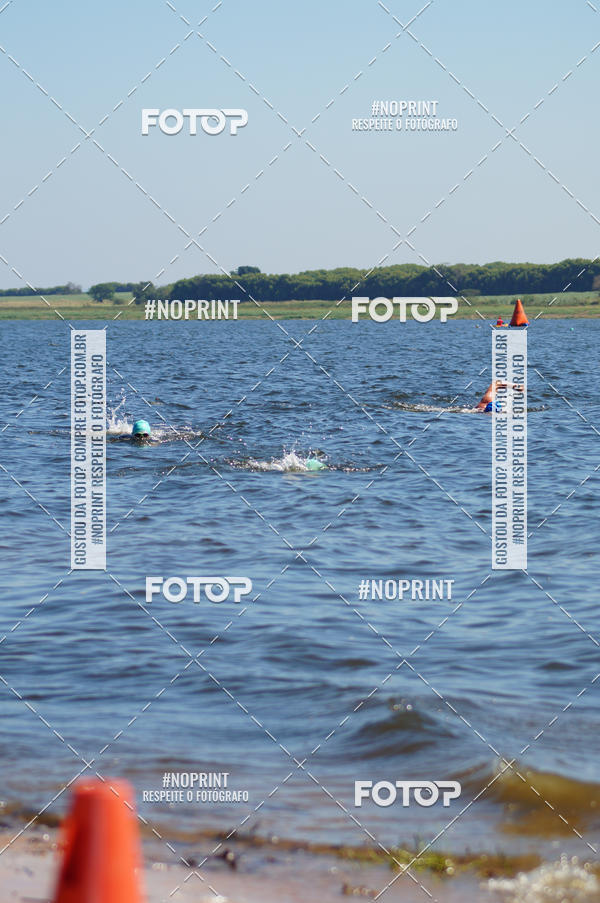 Buy your photos of the eventWolf Series - Botucatu on Fotop